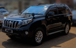 Toyota Land Cruiser Prado TZ-G